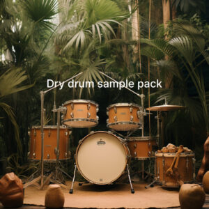 (dry drum sample pack) + free Bass pack for producers